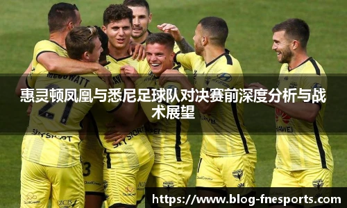 惠灵顿凤凰与悉尼足球队对决赛前深度分析与战术展望